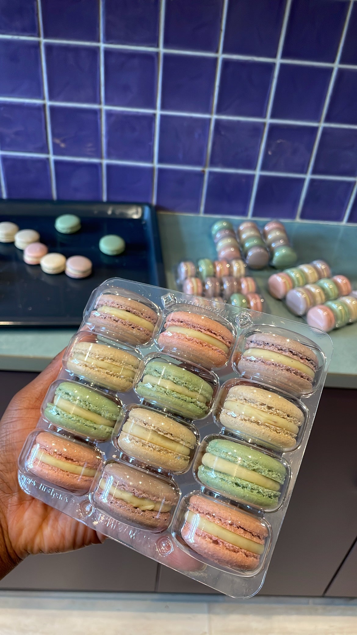 12 Vegan Macarons